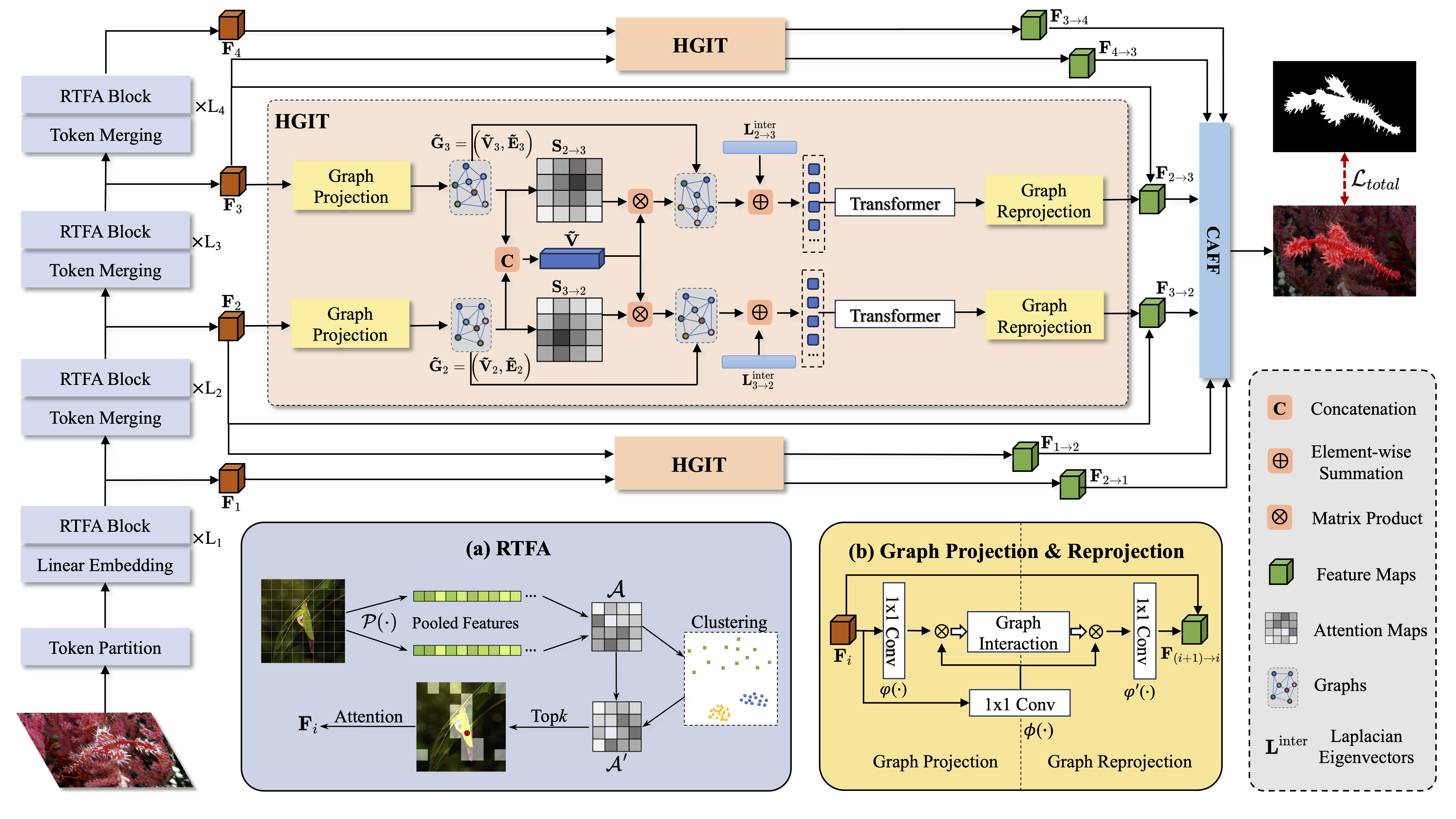 HGINet network figure